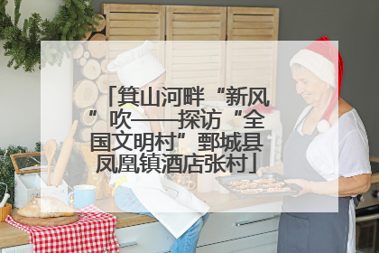 箕山河畔“新风”吹——探访“全国文明村”鄄城县凤凰镇酒店张村