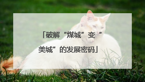 破解“煤城”变“美城”的发展密码