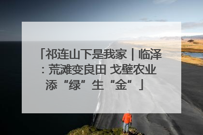 祁连山下是我家｜临泽：荒滩变良田 戈壁农业添“绿”生“金”