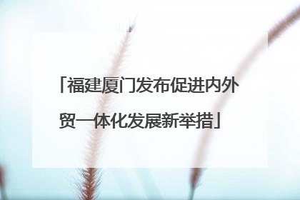 福建厦门发布促进内外贸一体化发展新举措
