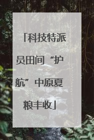 科技特派员田间“护航”中原夏粮丰收