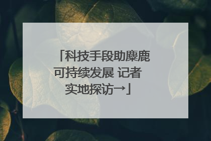 科技手段助麋鹿可持续发展 记者实地探访→