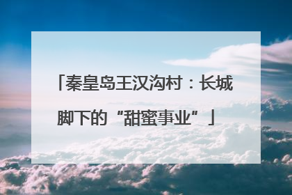 秦皇岛王汉沟村：长城脚下的“甜蜜事业”