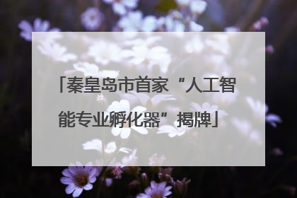秦皇岛市首家“人工智能专业孵化器”揭牌