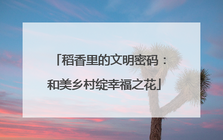 稻香里的文明密码：和美乡村绽幸福之花