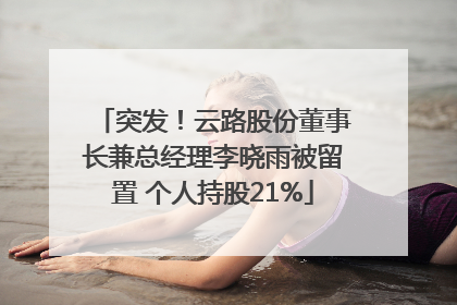 突发！云路股份董事长兼总经理李晓雨被留置 个人持股21%