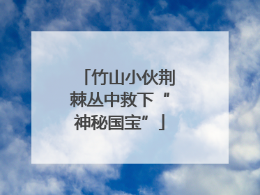 竹山小伙荆棘丛中救下“神秘国宝”