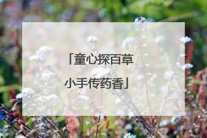 童心探百草 小手传药香