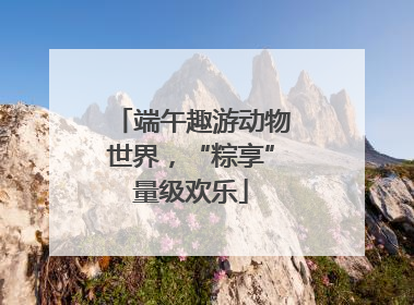 端午趣游动物世界，“粽享”量级欢乐