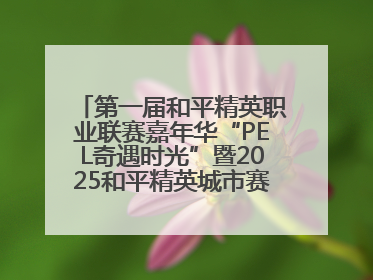 第一届和平精英职业联赛嘉年华“PEL奇遇时光”暨2025和平精英城市赛总决赛盛大启幕