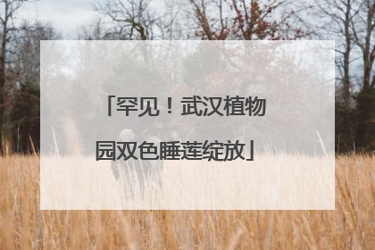 罕见！武汉植物园双色睡莲绽放