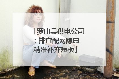 罗山县供电公司：排查配网隐患 精准补齐短板
