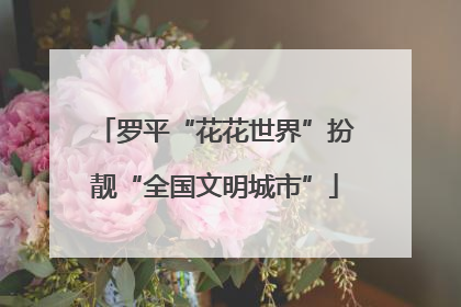 罗平“花花世界”扮靓“全国文明城市”