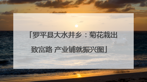 罗平县大水井乡：菊花栽出致富路 产业铺就振兴图
