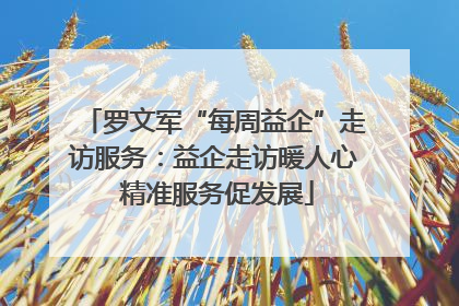 罗文军“每周益企”走访服务：益企走访暖人心 精准服务促发展