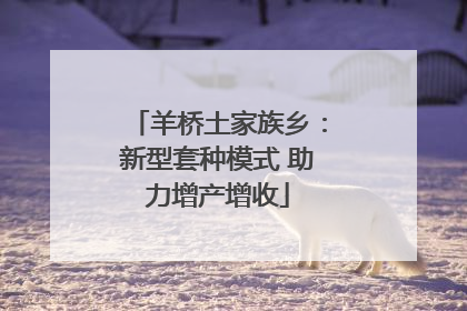 羊桥土家族乡：新型套种模式 助力增产增收