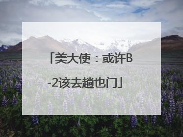 美大使：或许B-2该去趟也门