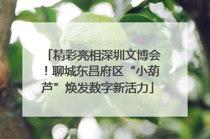 精彩亮相深圳文博会！聊城东昌府区“小葫芦”焕发数字新活力