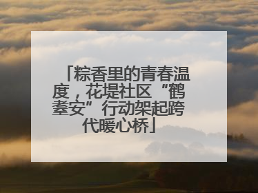 粽香里的青春温度，花堤社区“鹤耋安”行动架起跨代暖心桥