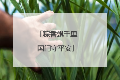 粽香飘千里 国门守平安
