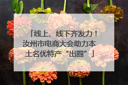 线上、线下齐发力！汝州市电商大会助力本土名优特产“出圈”