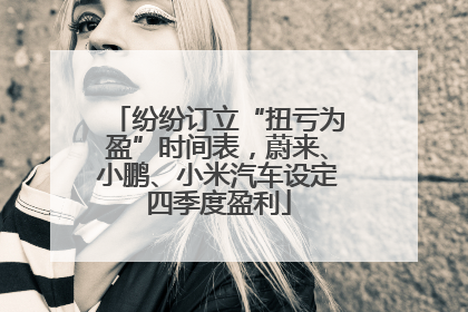 纷纷订立“扭亏为盈”时间表，蔚来、小鹏、小米汽车设定四季度盈利