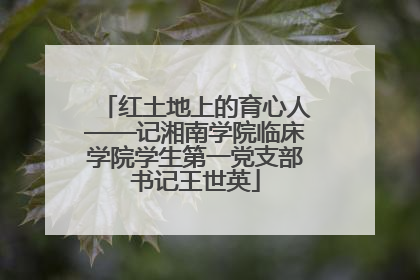 红土地上的育心人——记湘南学院临床学院学生第一党支部书记王世英