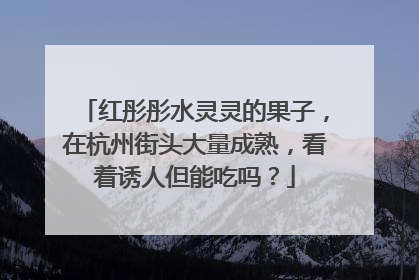 红彤彤水灵灵的果子，在杭州街头大量成熟，看着诱人但能吃吗？