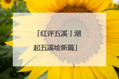 红评五溪丨潮起五溪绘新篇