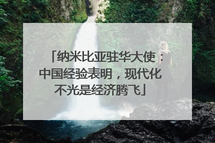 纳米比亚驻华大使：中国经验表明，现代化不光是经济腾飞