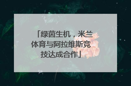 绿茵生机，米兰体育与阿拉维斯竞技达成合作