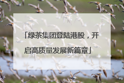 绿茶集团登陆港股，开启高质量发展新篇章