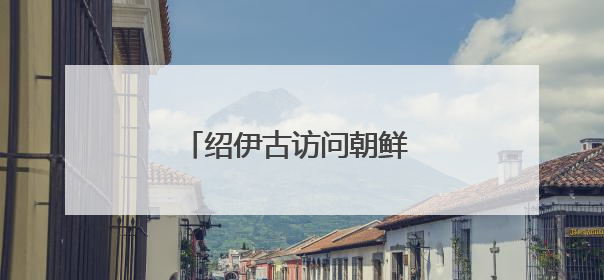 绍伊古访问朝鲜 将与金正恩会面