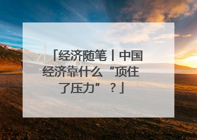 经济随笔丨中国经济靠什么“顶住了压力”？
