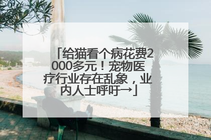 给猫看个病花费2000多元！宠物医疗行业存在乱象，业内人士呼吁→