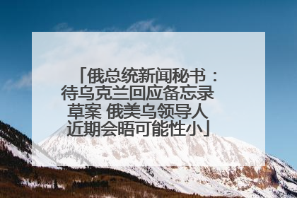 俄总统新闻秘书：待乌克兰回应备忘录草案 俄美乌领导人近期会晤可能性小