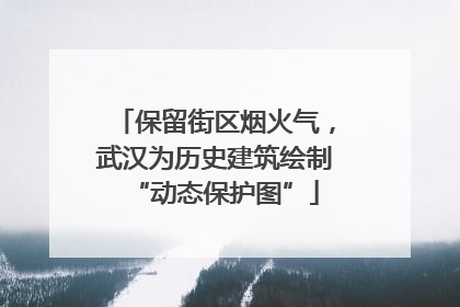 保留街区烟火气，武汉为历史建筑绘制“动态保护图”