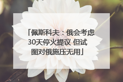佩斯科夫：俄会考虑30天停火提议 但试图对俄施压无用