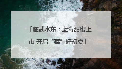 临武水东：蓝莓甜蜜上市 开启“莓”好初夏
