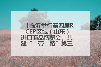 临沂举行第四届RCEP区域（山东）进口商品博览会、共建“一带一路”第三届临沂商城国际采购商大会新闻发布会