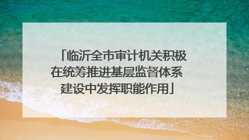 临沂全市审计机关积极在统筹推进基层监督体系建设中发挥职能作用