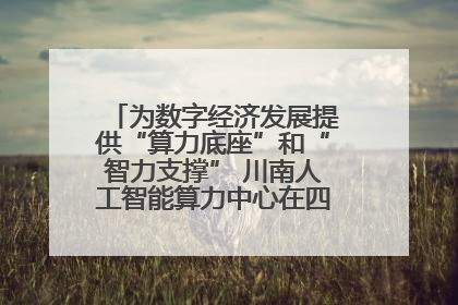 为数字经济发展提供“算力底座”和“智力支撑” 川南人工智能算力中心在四川泸州启动