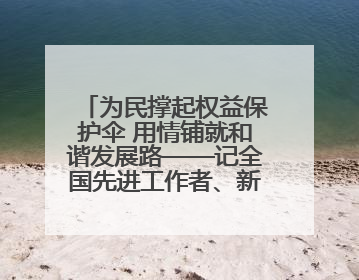 为民撑起权益保护伞 用情铺就和谐发展路——记全国先进工作者、新区项目建设中心干部卢小勇