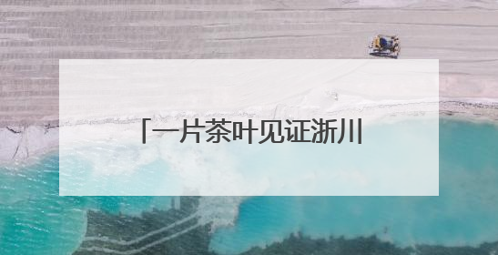 一片茶叶见证浙川情深 四川广元携“感恩茶”赴杭推介