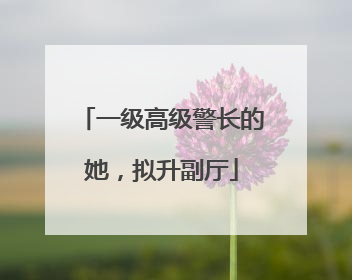 一级高级警长的她，拟升副厅