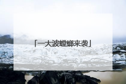 一大波螳螂来袭