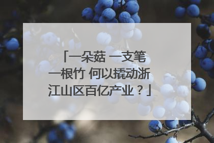 一朵菇 一支笔 一根竹 何以撬动浙江山区百亿产业？