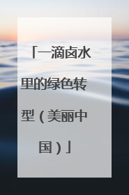 一滴卤水里的绿色转型（美丽中国）