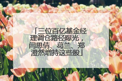 三位百亿基金经理调仓路径曝光，闫思倩、葛兰、郑澄然增持这些股
