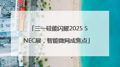 三一硅能闪耀2025 SNEC展，智能微网成焦点